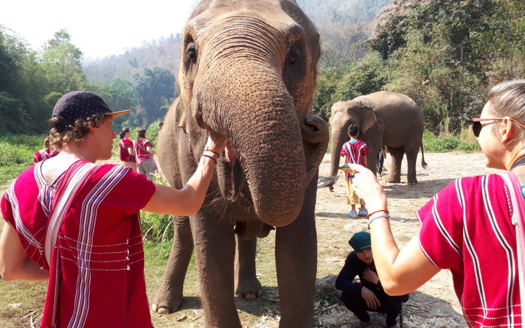 Lust auf Thailand: Mit 2 Kids durch die Welt – Teil 5 (Chiang Mai)